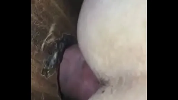Tabung segar Big Cock Fucks Raw Creams Inside panas