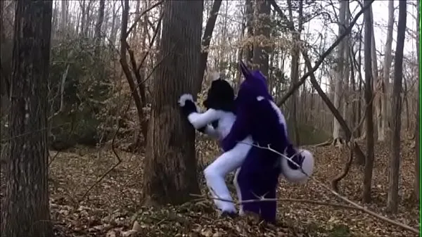 Forró Fursuit Couple Mating in Woods friss cső