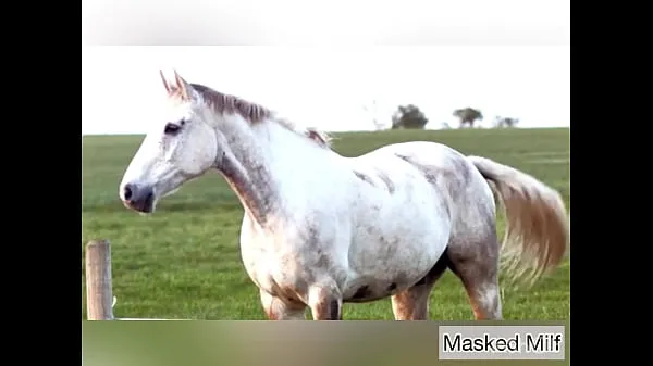 ร้อนแรง Horny Milf takes giant horse cock dildo compilation | Masked Milf หลอดสด